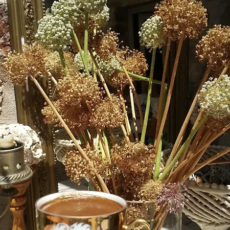 Akarsu Kalyopi 3* Tenedos