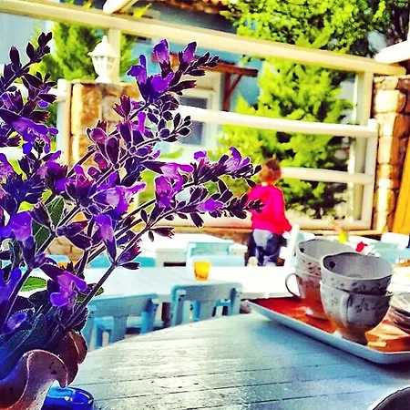 Hotel Akarsu Kalyopi Tenedos