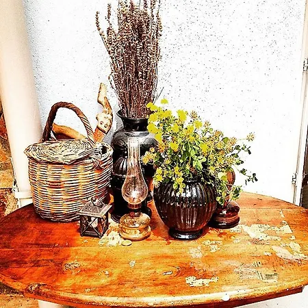 Akarsu Kalyopi 3* Tenedos