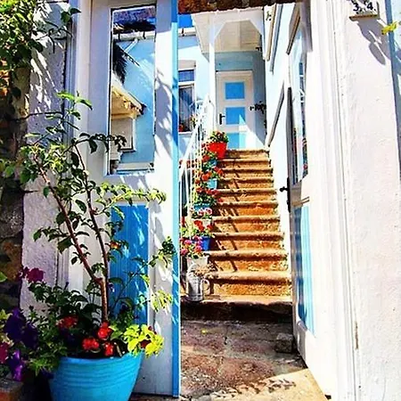 Akarsu Kalyopi Tenedos