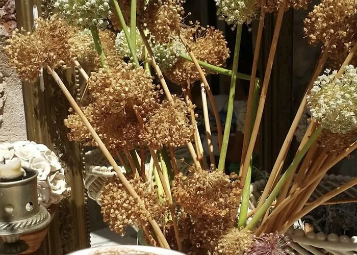 Akarsu Kalyopi 3* בוזקאדה