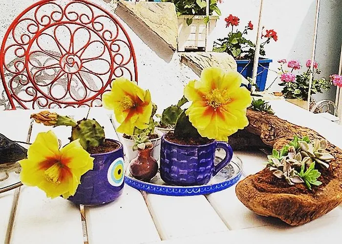 מלון Akarsu Kalyopi